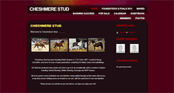 Desktop Screenshot of cheshmerestud.com